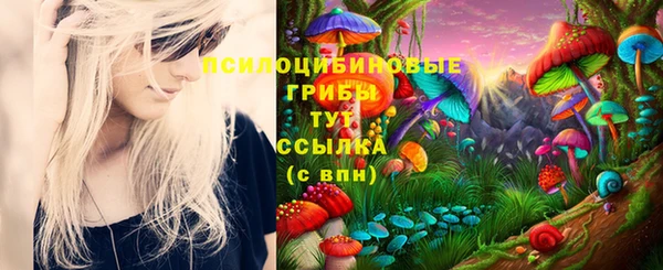 ALPHA PVP Куйбышев