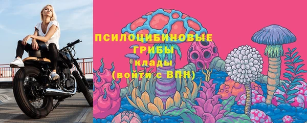 первитин Кукмор